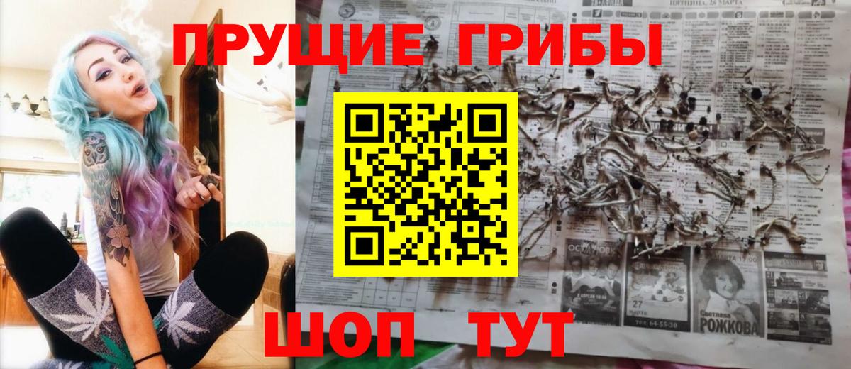 даркнет сайт  Галлюциногенные грибы Psilocybe  Вход с VPN  Псилоцибиновые грибы Psilocybine cubensis  Усолье-Сибирское 