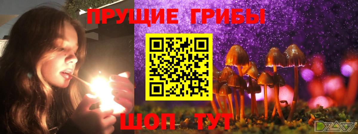 Галлюциногенные грибы Cubensis Усолье-Сибирское